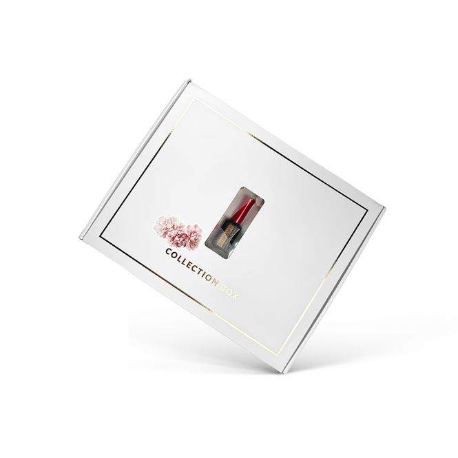 Hovedbilde LipGloss Esthetic Collection Box