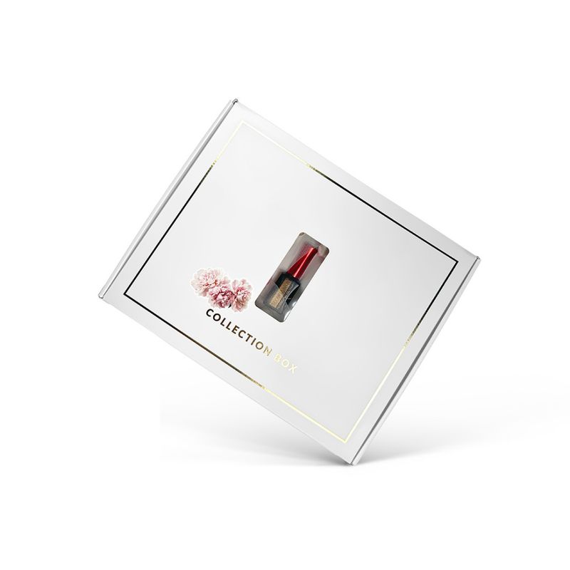 LipGloss Esthetic Collection Box